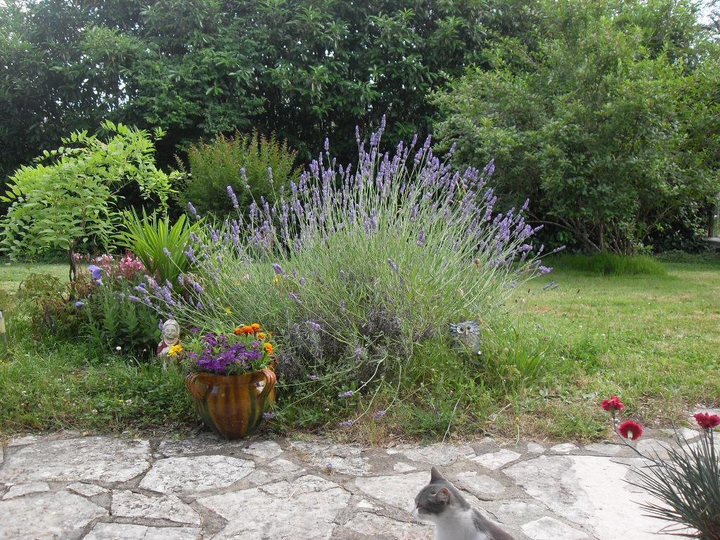 Chez Janou Monpazier Exterior foto
